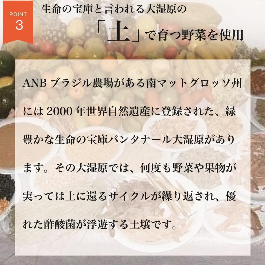 BIOクレンズ酵素-Mana MaNna-30包入り【数量限定！7包セット プレゼントキャンペーン中！】