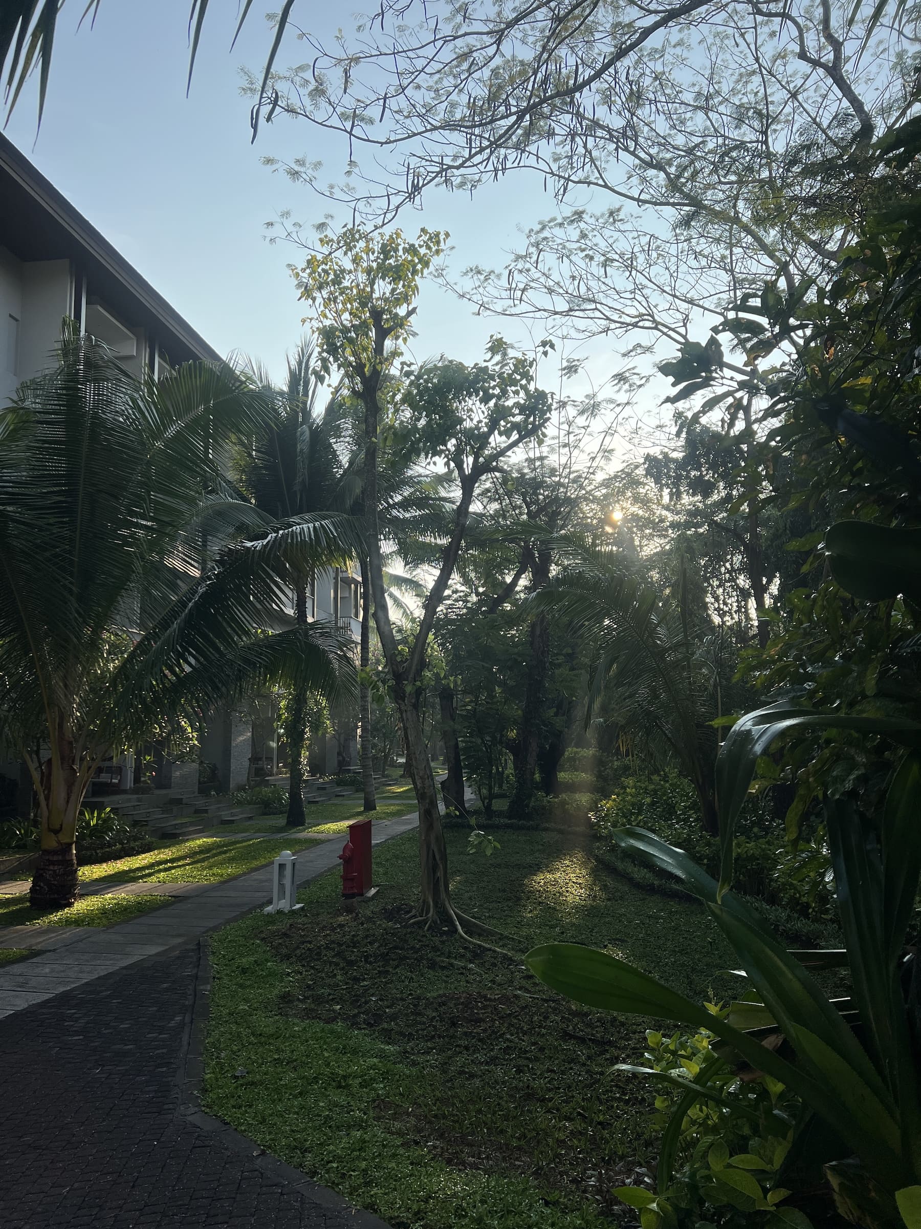 朝のガーデン散歩