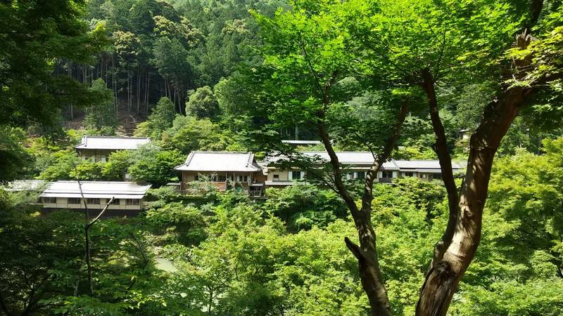 トロッコ列車の景色1