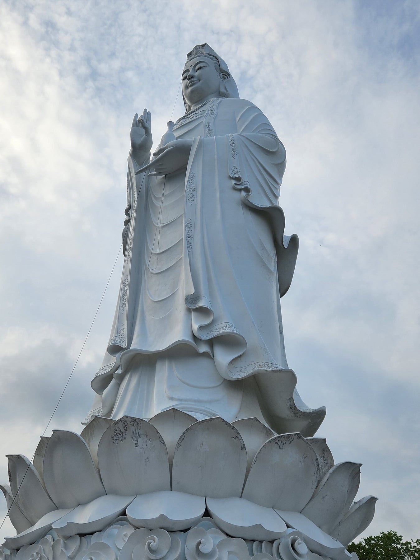 レディーブッダ2