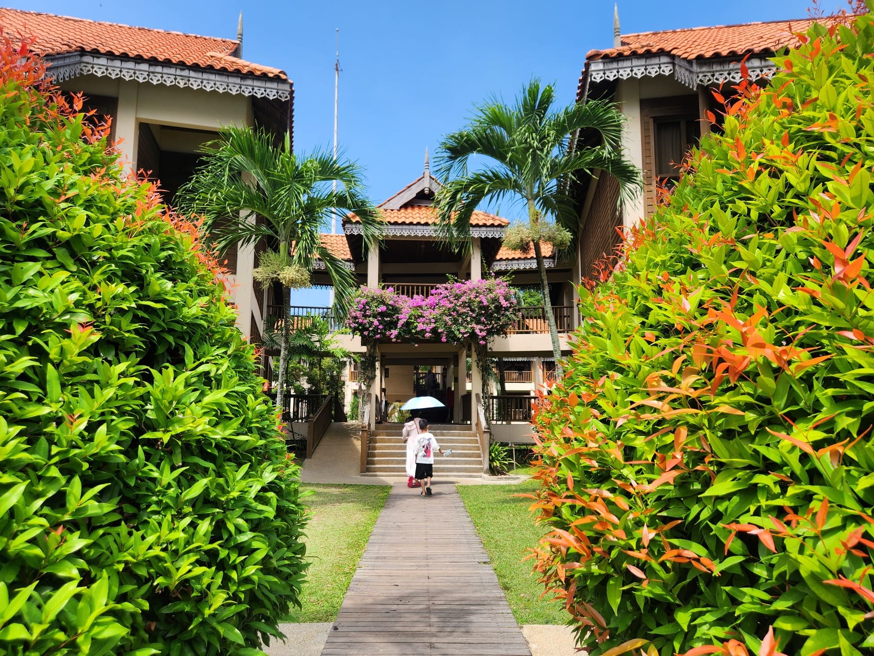 鮮やかな南国のお花と客室への道