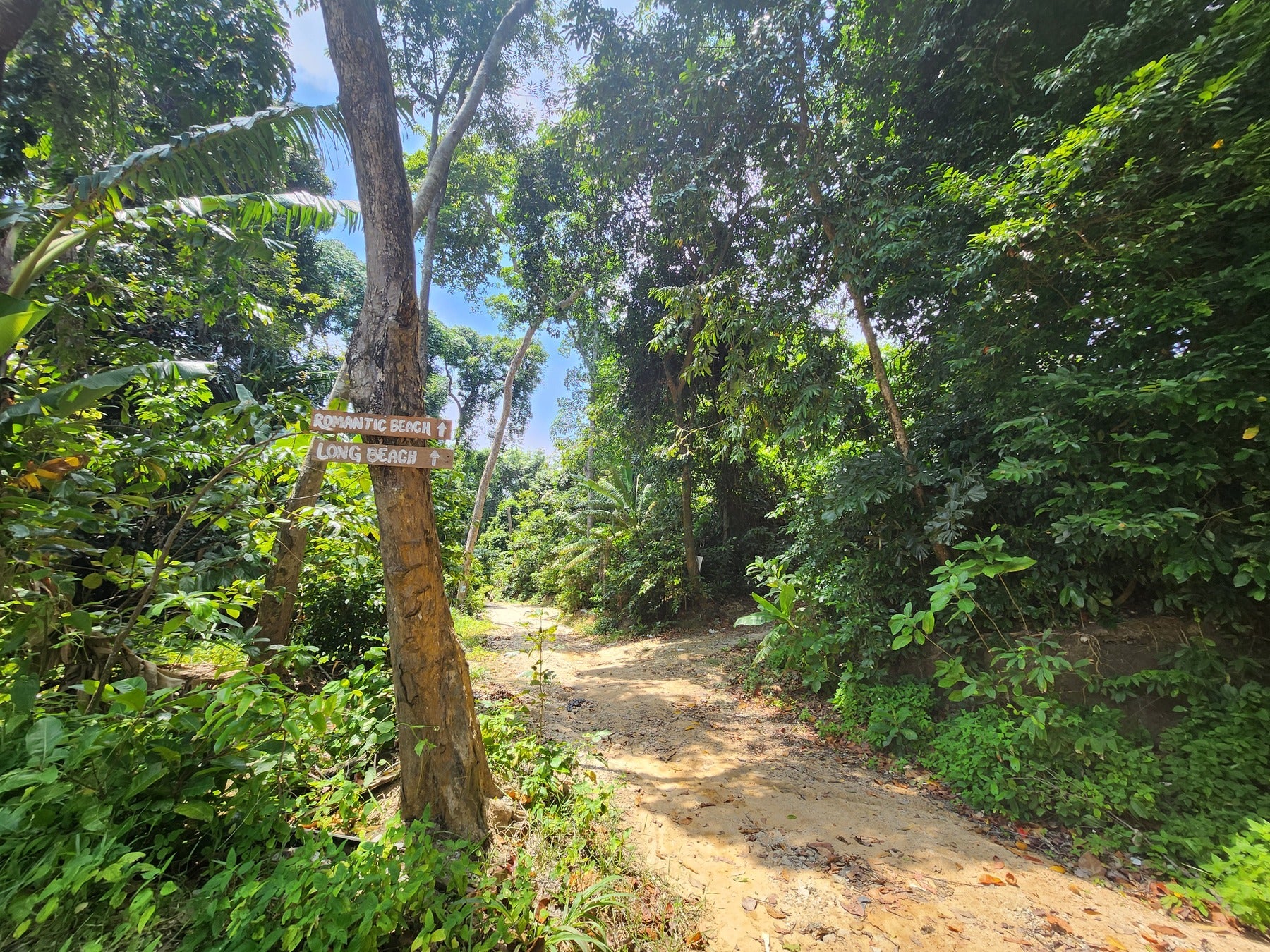 探検気分が味わえる山道