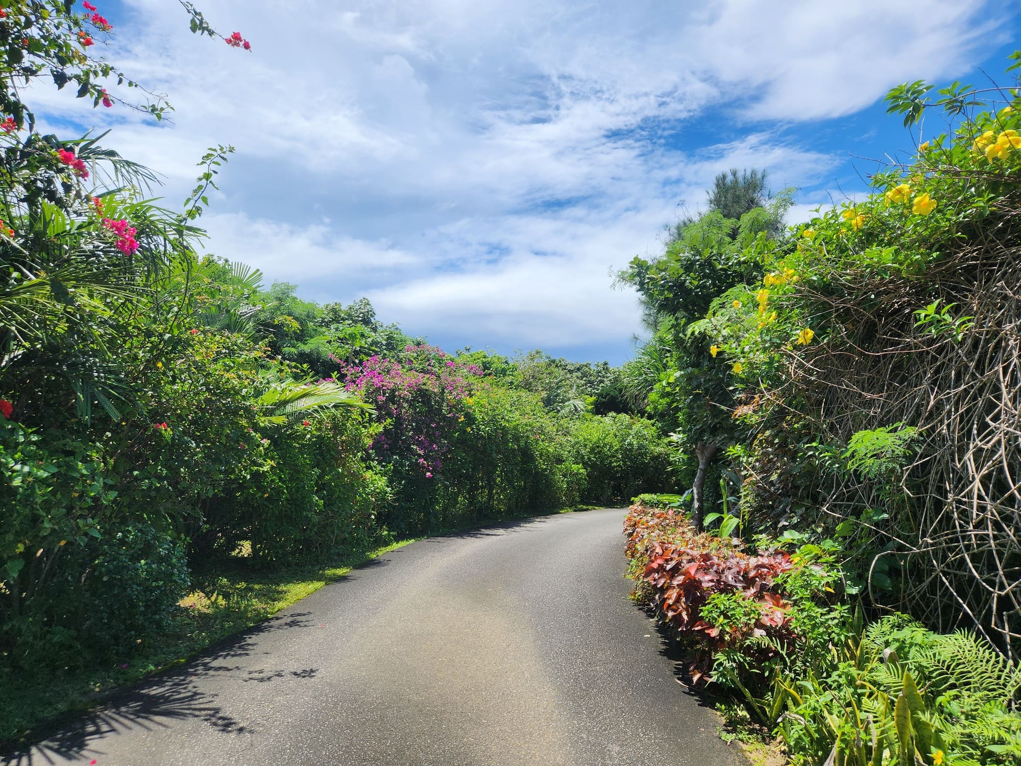 ビーチまでの道のり