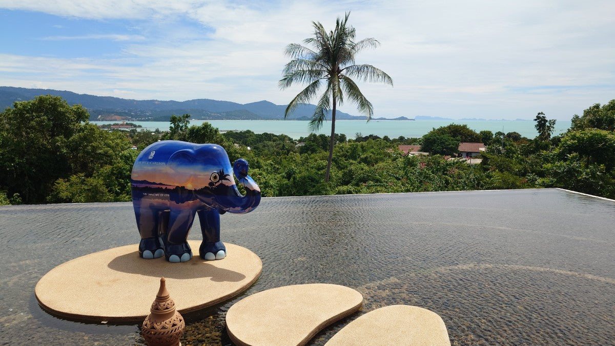 オーシャンビュー