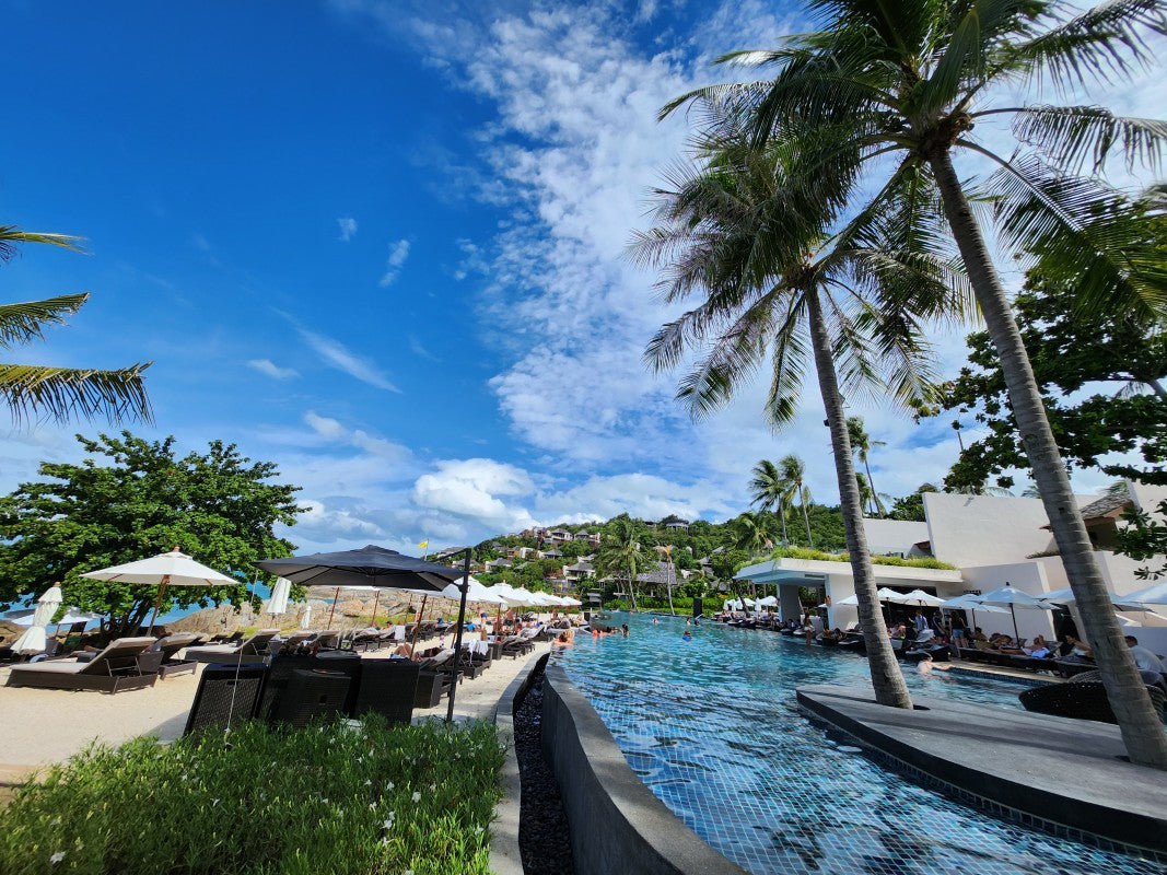 プールと椰子の木