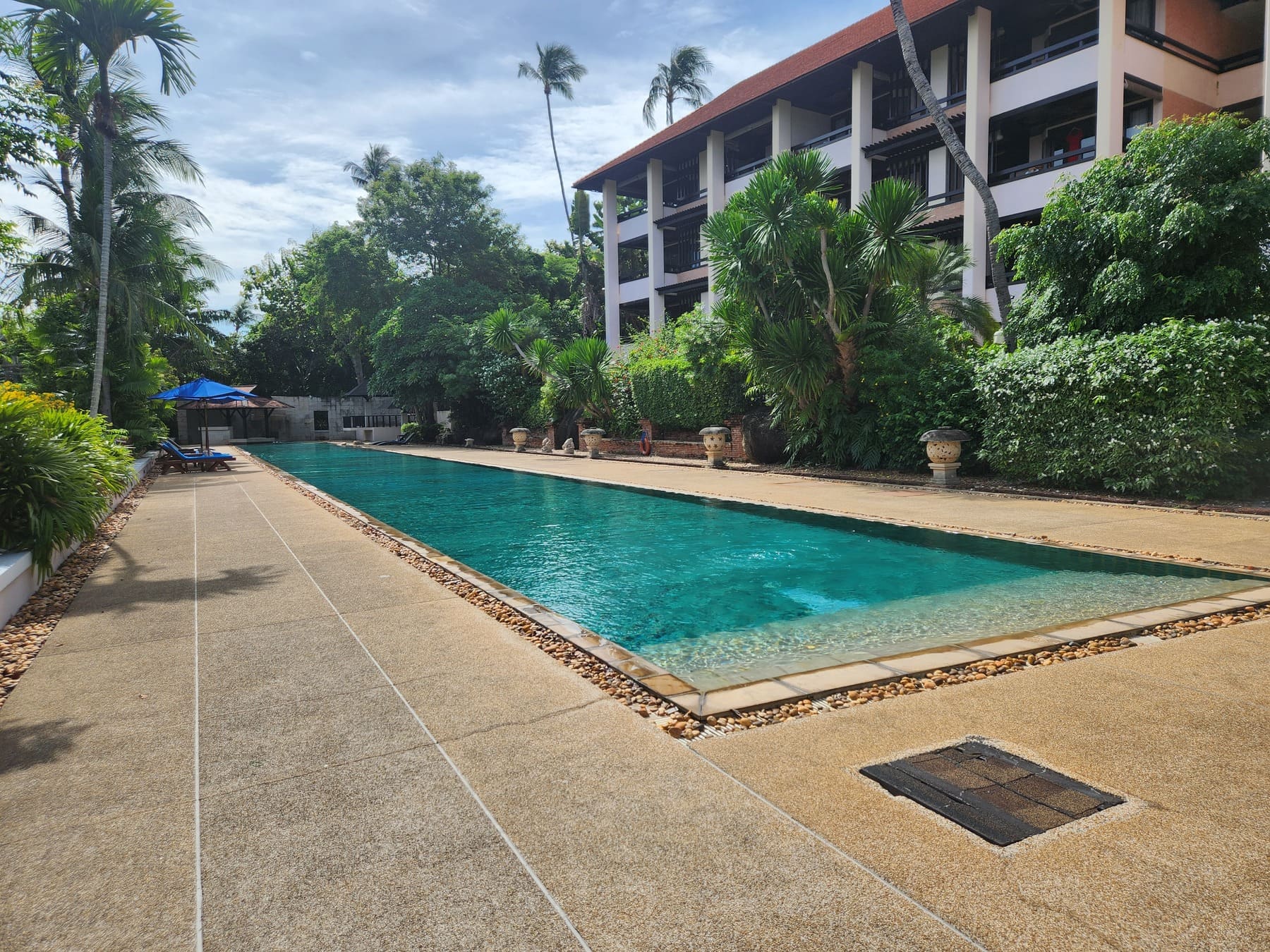 50メートルプール