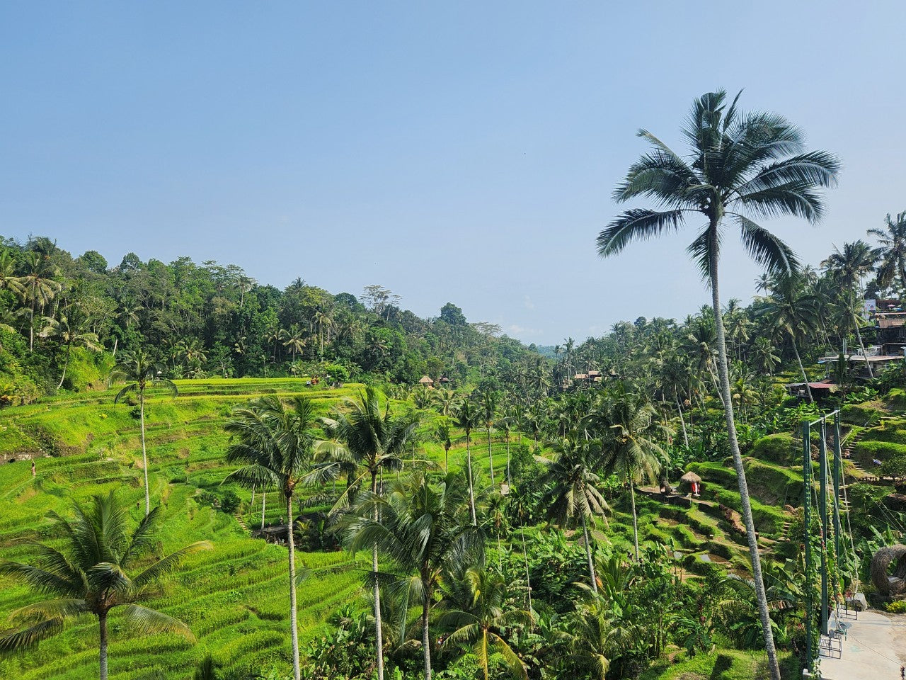 ウブドのライステラス