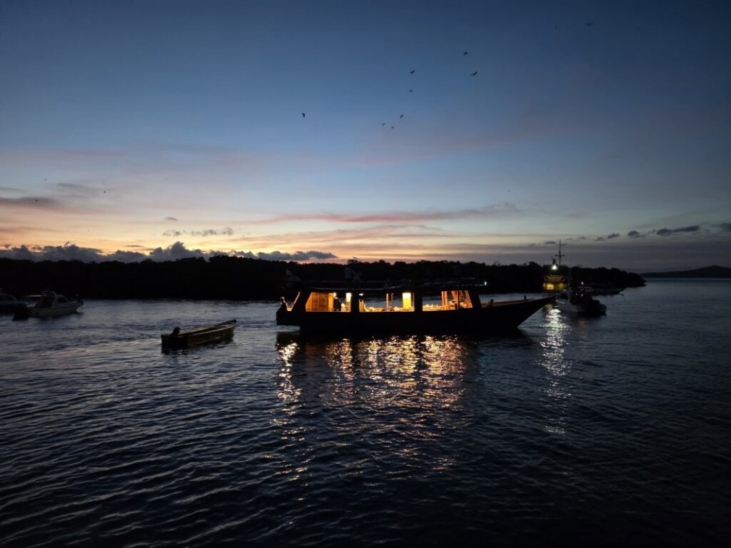 コウモリと夕日を眺める