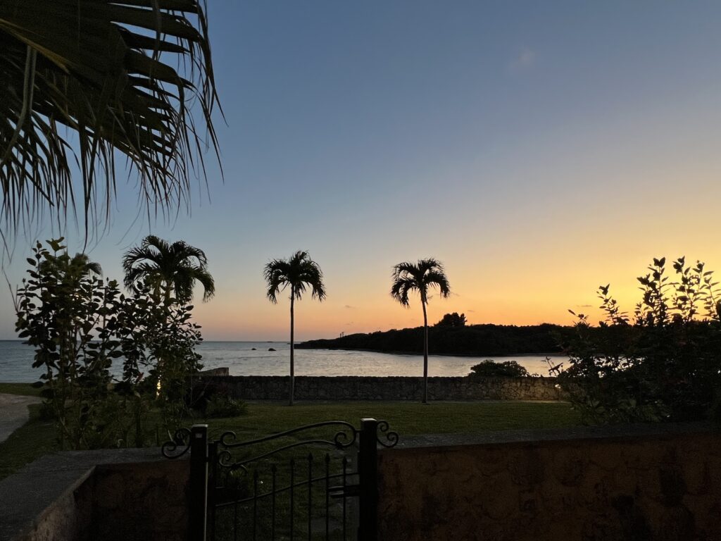 沈む夕日と椰子の木